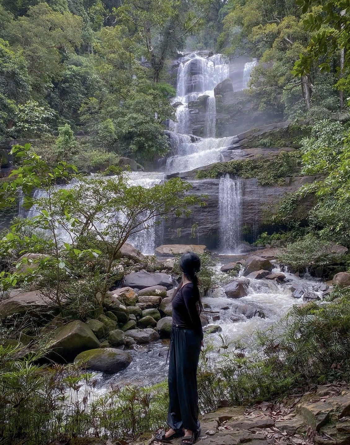 Doi Inthanon National Park Private Tour – Full Day